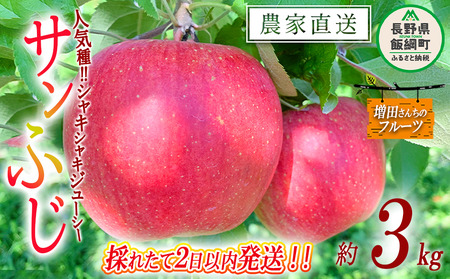 【 採れたてを発送 】りんご サンふじ 家庭用 3kg 採れたてを発送 増田ファーム 沖縄県への配送不可 2026年11月下旬頃から2026年12月上旬頃まで順次発送予定 令和8年度収穫分 信州 果物 フルーツ リンゴ 林檎 長野 予約 農家直送 長野県 飯綱町 [0572]