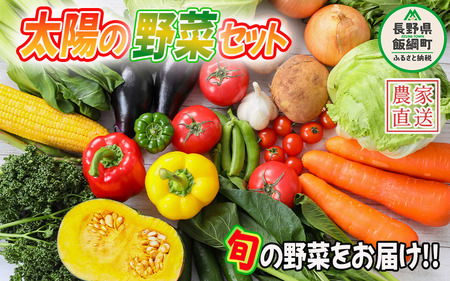 【 冷蔵便 】 野菜 太陽の野菜セット 【 季節ごと旬の野菜 】 配送先は本州限定 クール便 2026年7月中旬頃から2026年11月上旬頃まで順次発送予定 ビオ農産物 太陽の恵み ( 化学肥料 除草剤 不使用 ) 長野県 飯綱町 [0009]
