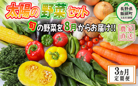 野菜 太陽の野菜セット 【 8月から 3か月 定期便 】 季節ごと旬の野菜 配送先は本州限定 2026年8月中旬頃から2026年10月下旬頃まで順次発送予定 ビオ農産物 太陽の恵み ( 化学肥料 除草剤 不使用 ) 長野県 飯綱町 [1041]