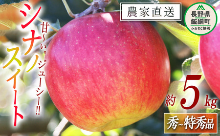 りんご シナノスイート 秀 ～ 特秀 5kg マルカズりんご農園 沖縄県への配送不可 2026年10月中旬頃から2026年10月下旬頃まで順次発送予定 令和8年度収穫分 信州 果物 フルーツ リンゴ 林檎 長野 予約 農家直送 長野県 飯綱町 [0990]