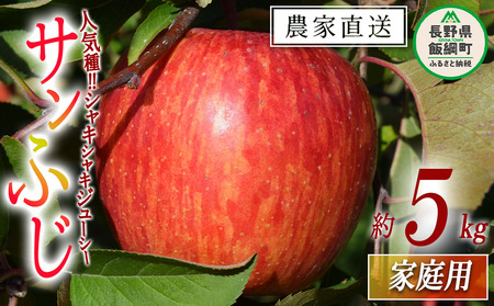 りんご サンふじ 家庭用 5kg マルカズりんご農園 沖縄県への配送不可 2026年11月下旬頃から2026年12月下旬頃まで順次発送予定 令和8年度収穫分 信州 果物 フルーツ リンゴ 林檎 長野 予約 農家直送 長野県 飯綱町 [0951]