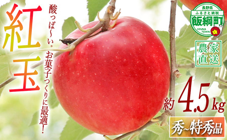 りんご 紅玉 秀 ～ 特秀 4.5kg （～23玉） ヒライ農園 沖縄県への配送不可 2026年10月上旬頃から2026年10月中旬頃まで順次発送予定 令和8年度収穫分 信州の環境にやさしい農産物認証 減農薬栽培 長野県 飯綱町 [0362]