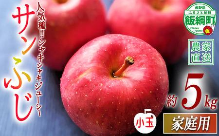 りんご サンふじ ( 小玉 ) 家庭用 5kg ヒライ農園 沖縄県への配送不可 2026年12月上旬頃から2026年12月下旬頃まで順次発送予定 令和8年度収穫分 信州の環境にやさしい農産物認証 減農薬栽培 長野県 飯綱町 [0700]