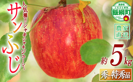 りんご サンふじ 秀 ～ 特秀 5kg 渡辺農園 沖縄県への配送不可 2026年12月上旬頃から2027年1月中旬頃まで順次発送予定 令和8年度収穫分 エコファーマー認定 減農薬栽培 長野県 飯綱町 [0169]