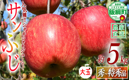 りんご サンふじ 秀 ～ 特秀 ( 大玉 ) 5kg 渡辺農園 沖縄県への配送不可 2026年12月上旬頃から2027年1月中旬頃まで順次発送予定 令和8年度収穫分 エコファーマー認定 減農薬栽培 長野県 飯綱町 [0804]