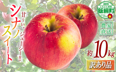 りんご シナノスイート 訳あり 10kg 関農園 2026年10月上旬頃から2026年10月下旬頃まで順次発送予定 エコファーマー認定 令和8年度収穫分 傷 不揃い リンゴ 林檎 果物 フルーツ 信州 長野 予約 農家直送 長野県 飯綱町 [1091]