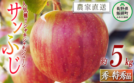 りんご サンふじ 秀 ～ 特秀 5kg 松橋りんご園 沖縄県への配送不可 2026年12月上旬頃から2027年1月下旬頃まで順次発送予定 令和8年度収穫分 フルーツ リンゴ 信州 長野県 飯綱町 [0130]