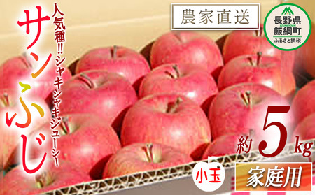 りんご サンふじ 家庭用 ( 小玉 ) 5kg 松橋りんご園 沖縄県への配送不可 2027年1月上旬頃から2027年3月上旬頃まで順次発送予定 令和8年度収穫分 フルーツ リンゴ 信州 長野県 飯綱町 [0629]