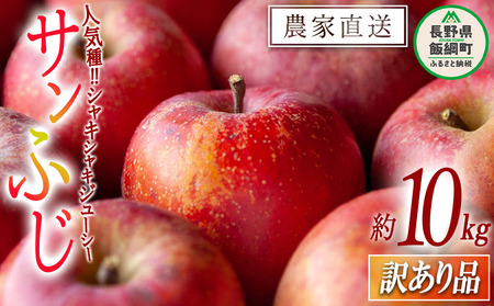 りんご サンふじ 訳あり 10kg 松橋りんご園 2026年12月中旬頃から2027年3月上旬頃まで順次発送予定 令和8年度収穫分 フルーツ リンゴ 信州 長野県 飯綱町 [0552]