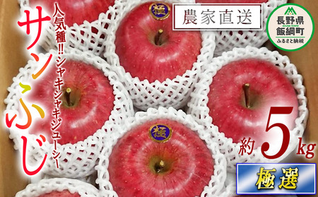 りんご サンふじ 極選 5kg やまじゅうファーム 2026年12月中旬頃から2026年12月下旬頃まで順次発送予定 令和8年度収穫分 信州の環境にやさしい農産物 減農薬栽培 長野県 飯綱町 [0537]