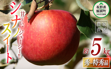 りんご シナノスイート 秀 ～ 特秀 5kg ヤマハチ農園 沖縄県への配送不可 2026年10月上旬頃から2026年11月上旬頃まで順次発送予定 令和8年度収穫分 BLOF理論栽培 信州 果物 フルーツ リンゴ 林檎 長野 予約 農家直送 長野県 飯綱町 [0656]