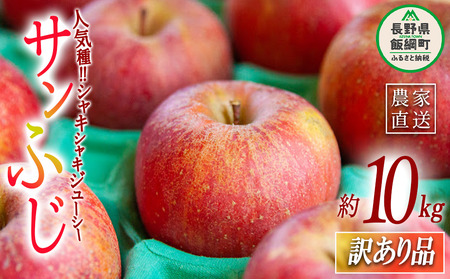 りんご サンふじ 訳あり 10kg ヤマハチ農園 2026年11月中旬頃から2027年1月上旬頃まで順次発送予定 令和8年度収穫分 BLOF理論栽培 傷 不揃い リンゴ 林檎 果物 フルーツ 信州 長野 予約 農家直送 長野県 飯綱町 [0661]
