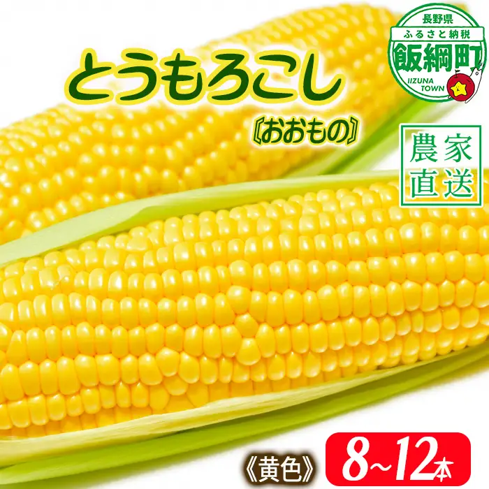 信州産 朝採り【 黄色 】 とうもろこし 8本 ～ 12本 ( 品種 おおもの ) 上倉荘 配送先は本州限定 2026年8月上旬頃から2026年9月中旬頃まで順次発送予定 信州 トウモロコシ コーン おおもの 野菜 黄色 イエロー 長野県 飯綱町 [0763]