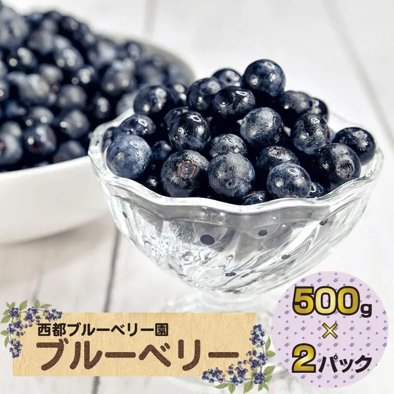 【先行予約】朝どれ！新鮮生ブルーベリー1kg（250g×4パック） 西都ブルーベリー農園 小分け＜43-1a＞