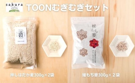 TOONむぎむぎセット 麦 もち麦 はだか麦 食物繊維 ご飯 サラダ スープ もちもち プチプチ 