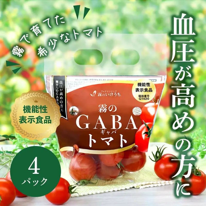 ストレス社会にぴったり！機能性表示食品 霧のGABAトマト 300ｇ×4パック（07-25）