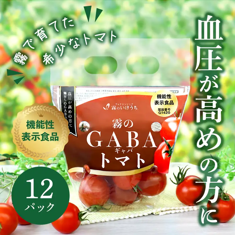 ストレス社会にぴったり！機能性表示食品 霧のGABAトマト 300ｇ×12パック（20-52）