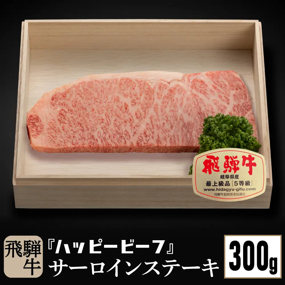 飛騨牛 ステーキ A5等級 サーロイン 300g分 ステーキ  JQ023-CP01 FN-Limited-PR