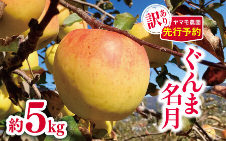 訳あり ぐんま名月約5kg 【2026年先行予約】 | ヤマモ農園