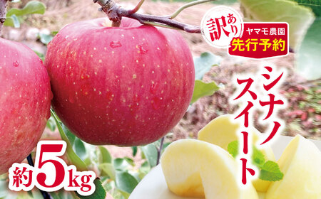 訳あり シナノスイート 約5kg 【2025年先行予約】 | ヤマモ農園