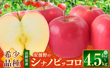 シナノピッコロ 約4～4.5kg 【2026年先行予約 】 ｜東印平林農園 