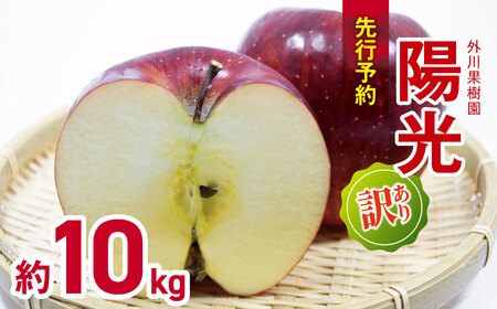 訳あり 陽光 約10kg 【2026年先行予約】 | 外川果樹園