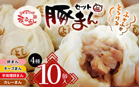 *信州産 辛子味噌豚まん入り おすすめ豚まん 4種10個入りセット | まんじゅう 肉まん おやつ 豚まん 中華 セット 4種 詰め合わせ セット 長野県 松川村 信州