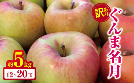 訳あり ぐんま名月 約 5kg｜ やまし平林農園