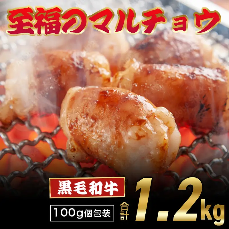 黒毛和牛 マルチョウ 西京味噌焼き 1.2kg (100g×12) 丸腸 ホルモン