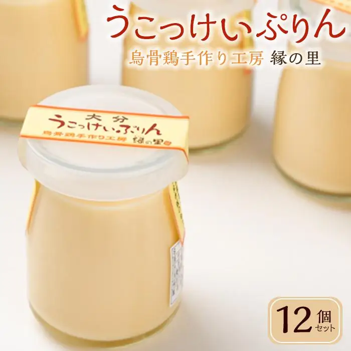 大分うこっけいプリン 12個 ｜ぷりん