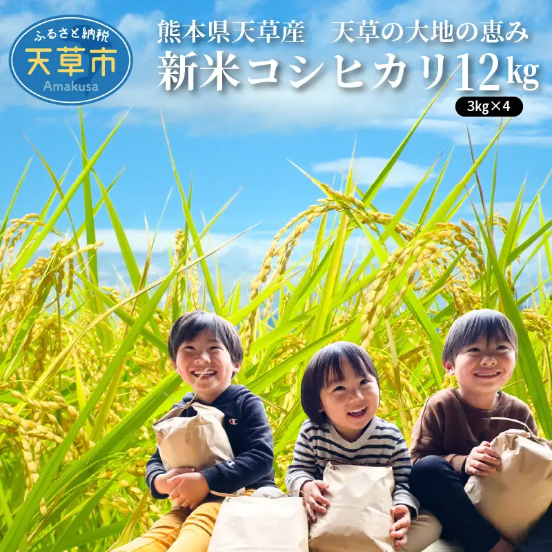 S108-004A_〈令和8 年産〉熊本県天草産　天草の大地の恵み　新米コシヒカリ12㎏【先行予約】