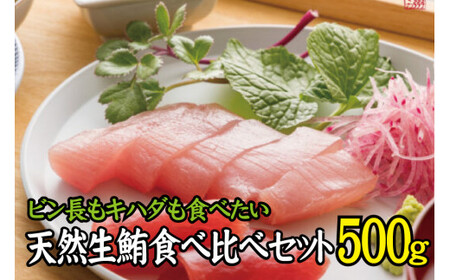 天然生まぐろ食べ比べセット 500g　キハダ（もしくはメバチ）＋びん長まぐろのセット / 生鮪 鮪 マグロ 生まぐろ キハダマグロ ビンチョウマグロ 刺身【tka019A】
