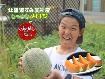 【ふるさと納税】≪令和8年産予約≫わっさむ産メロン（赤肉2玉）【7～8月お届け】