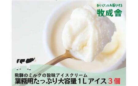 飛騨の牛乳屋 牧成舎 業務用  アイスクリーム 1L×3種 アイス DF007 訳あり
