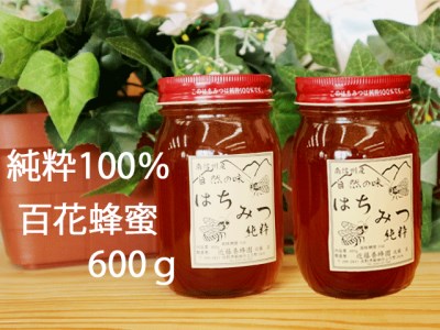 A10　国産純粋はちみつ　600g×2本