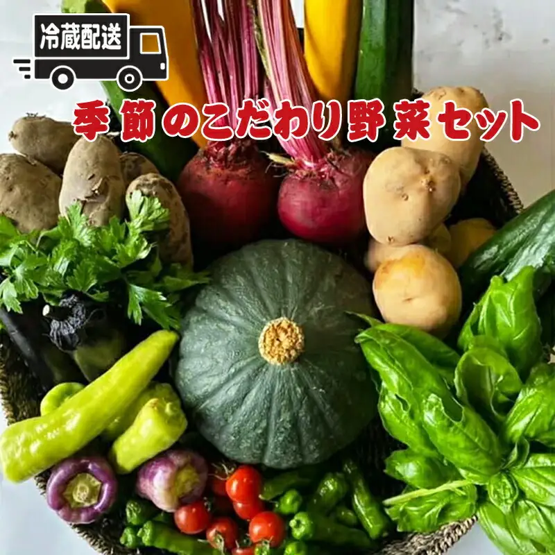 【冷蔵便】季節のこだわり野菜セット 野菜詰め合わせ（春野菜 夏野菜 ハーブ など）【 神奈川県 大磯町 野菜セット 詰め合わせ 季節 旬 】