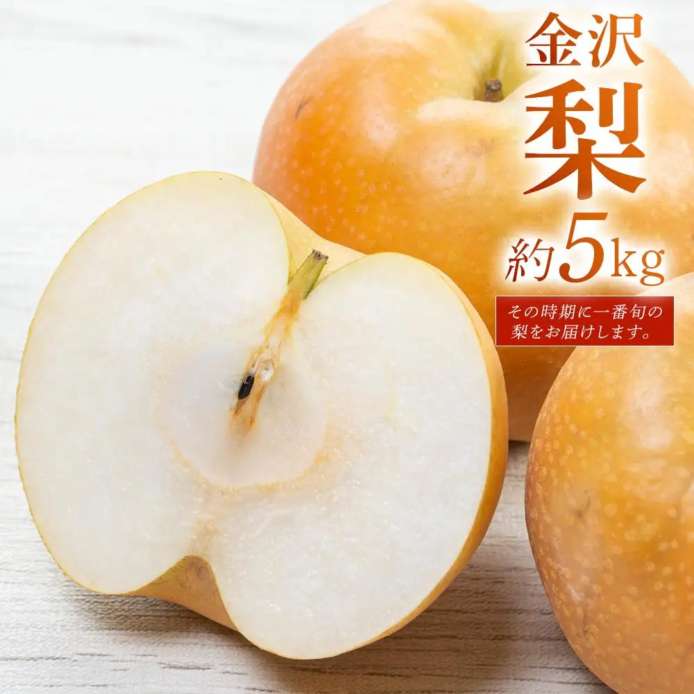 梨 【2026年予約受付】金沢梨 5kg JA金沢市