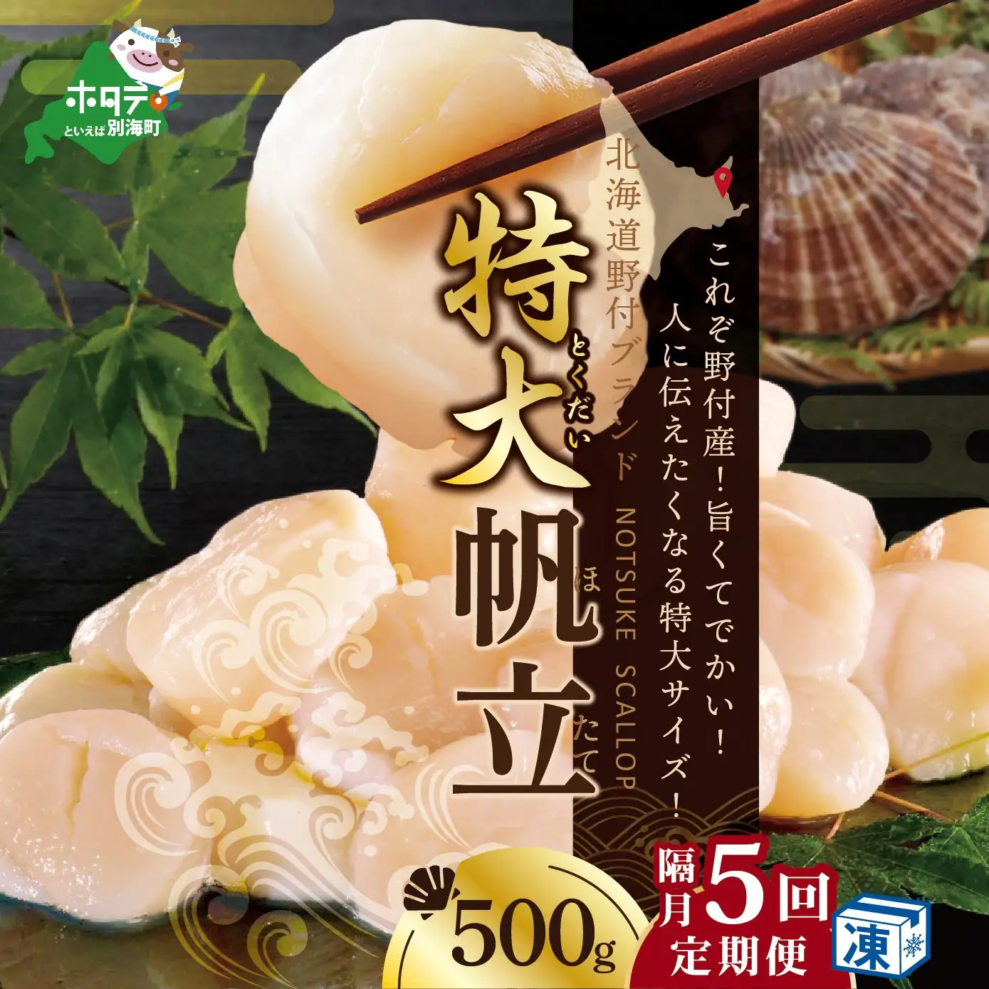 【隔月5回定期便】特大 冷凍ホタテ 貝柱 500g（ ほたて定期便 ホタテ定期便 帆立定期便 定期便 北海道定期便 人気定期便 ）
