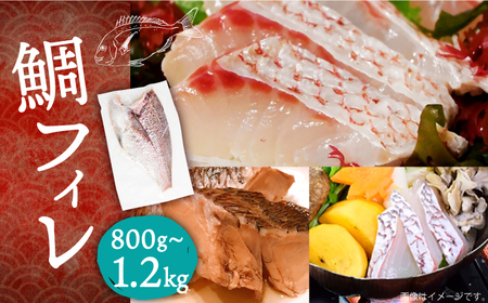 壱岐産 鯛 フィレ 800gから1.2kg [JDT006]