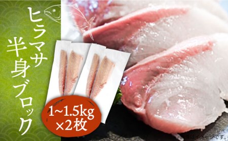 【お中元】壱岐産 ヒラマサ フィレ 2kgから3kg（半身×2枚・刺身用）[JDT009]