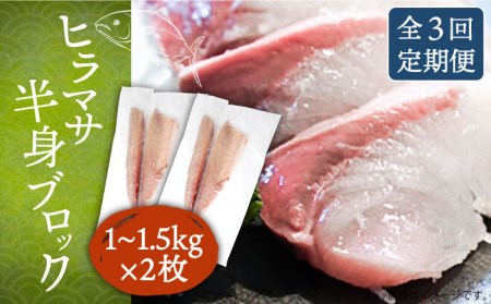 【全3回定期便】壱岐産 ヒラマサ フィレ 2kgから3kg（半身×2枚・刺身用）[JDT042]