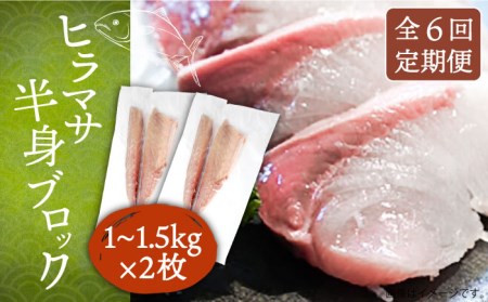 【全6回定期便】壱岐産 ヒラマサ フィレ 2kgから3kg（半身×2枚・刺身用）[JDT043]