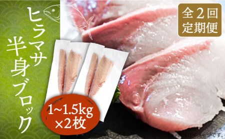 【全2回定期便】壱岐産 ヒラマサ フィレ 2kgから3kg（半身×2枚・刺身用）[JDT071]