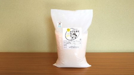 【7年産】強い粘りと旨味！お米の王様「コシヒカリ」　白米　5kg【C029W】（米 コメ こめ 白米 はくまい ごはん ご飯 精米 こしひかり コシヒカリ 近江米 5キロ 5kg）