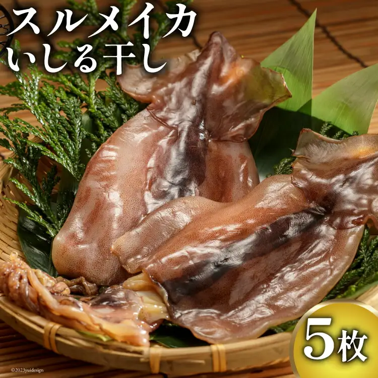 能登 船凍スルメイカ いしる干しセット 5枚 [能西水産 石川県 志賀町 AD4115] 