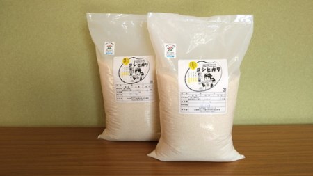 【7年産】強い粘りと旨味！お米の王様「コシヒカリ」　白米　10kg（5kg×2）【C030W】（米 コメ こめ 白米 はくまい ごはん ご飯 精米 こしひかり コシヒカリ  近江米 10キロ 10kg 5キロ 5kg）