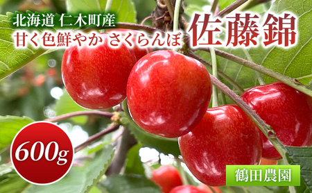 [先行受付] 数量限定 北海道 仁木町産 甘く色鮮やか さくらんぼ 佐藤錦 600g L～2Lサイズ 低農薬 有機肥料 高級品種 大人気 甘い サクランボ チェリー フルーツ 果物 果物類 仁木町 仁木 [鶴田農園]
