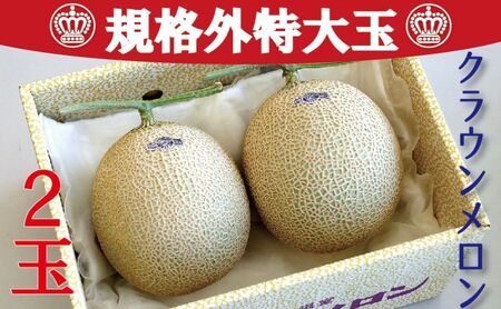 クラウンメロン　規格外特大玉　2玉入【配送不可：離島】 果物 フルーツ デザート おやつ おもてなし ブランド 温室 温室育ち 濃厚 超特大サイズ 静岡県産 浜松市産 セット 