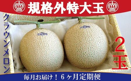 クラウンメロン　規格外特大玉　2玉入【毎月お届け6ヶ月定期便】【配送不可：離島】 果物 フルーツ デザート おやつ おもてなし ブランド 温室 温室育ち 濃厚 超特大サイズ 静岡県産 浜松市産 半年 