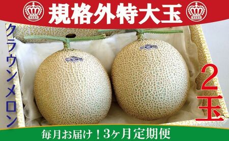 クラウンメロン　規格外特大玉　2玉入【毎月お届け3ヶ月定期便】【配送不可：離島】 果物 フルーツ デザート おやつ おもてなし ブランド 温室 温室育ち 濃厚 超特大サイズ 静岡県産 浜松市産 セット 